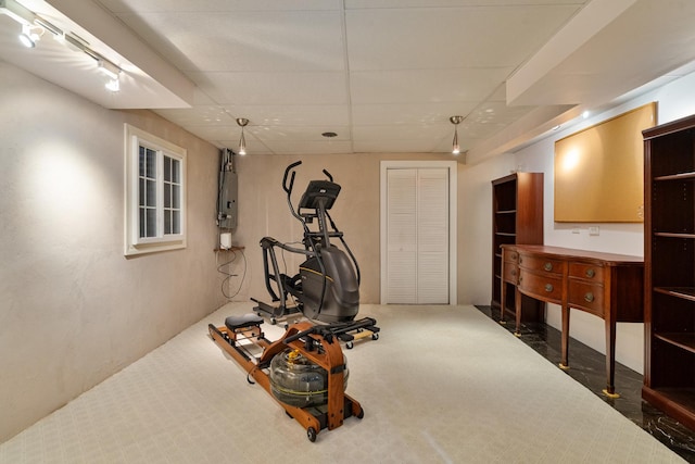 856 Fieldcrest Dr, Bolingbrook, IL 60490 - exercise area with electric panel and a paneled ceiling