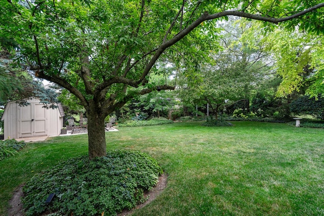 856 Fieldcrest Dr, Bolingbrook, IL 60490 - view of green lawn with a storage unit