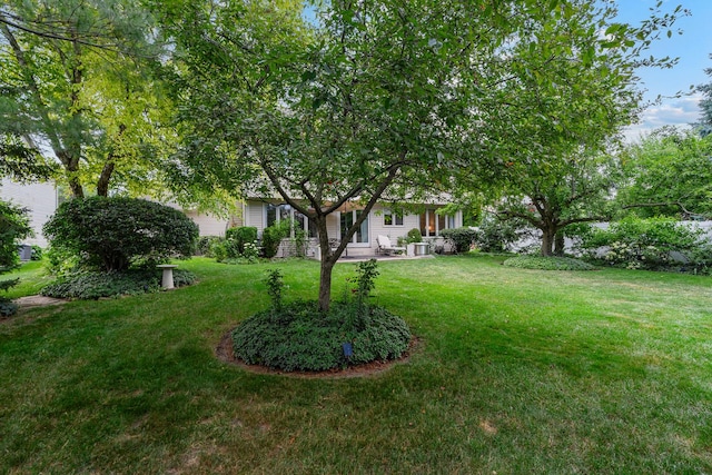856 Fieldcrest Dr, Bolingbrook, IL 60490 - view of green lawn