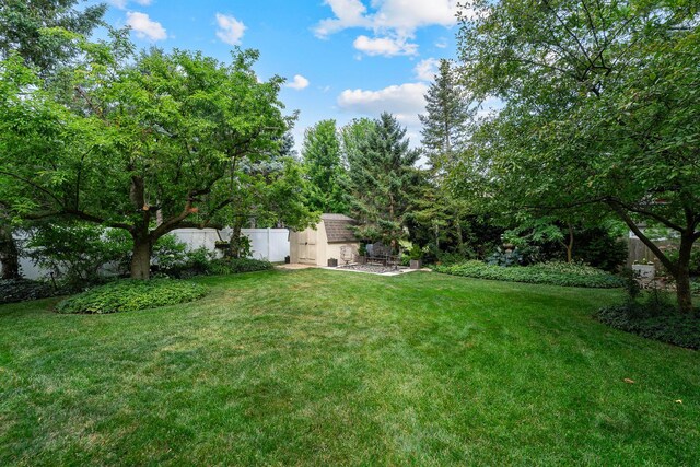 856 Fieldcrest Dr, Bolingbrook, IL 60490 - view of yard with a storage shed