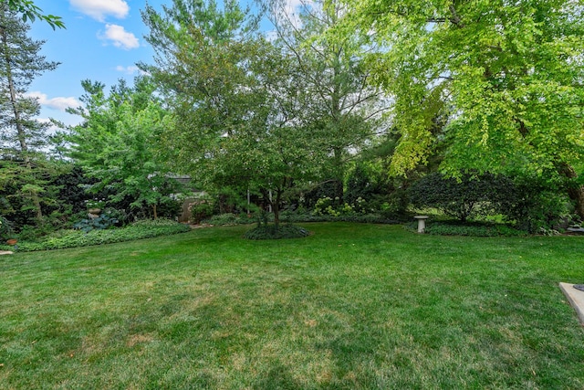 856 Fieldcrest Dr, Bolingbrook, IL 60490 - view of green lawn