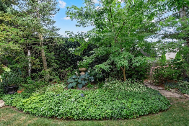 856 Fieldcrest Dr, Bolingbrook, IL 60490 - view of yard