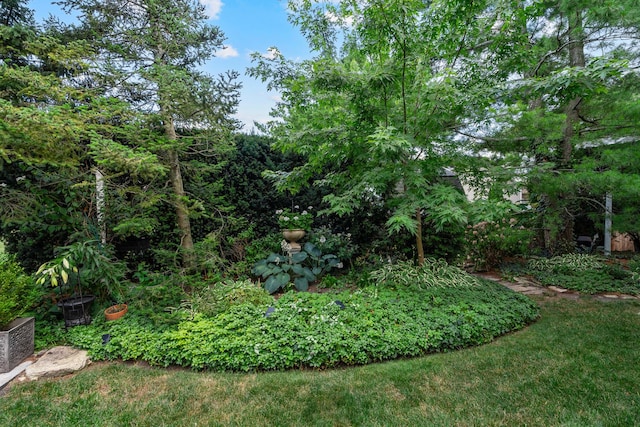 856 Fieldcrest Dr, Bolingbrook, IL 60490 - view of yard