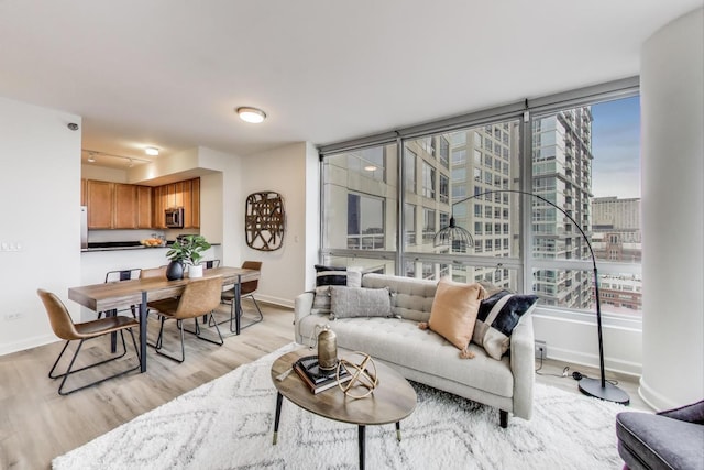 1841 S Calumet Ave Unit 1808, Chicago, IL 60616 - living room featuring light wood-style flooring and a view of city