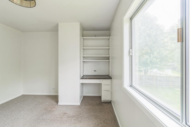 1316 Fireside Ct, Naperville, IL 60564 - unfurnished office featuring carpet, built in desk, and healthy amount of natural light