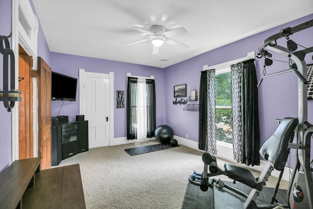 201 W Yates, Newman, IL 61942 - workout area with carpet flooring and ceiling fan