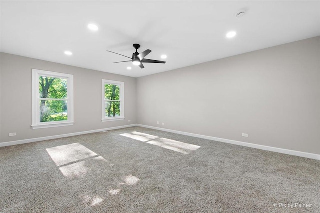 4N633 Hidden Oaks Rd, Saint Charles, IL 60175 - photo 38