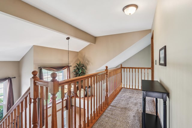 1995 Ridgemore Dr, Bartlett, IL 60103 - corridor featuring an upstairs landing and carpet floors