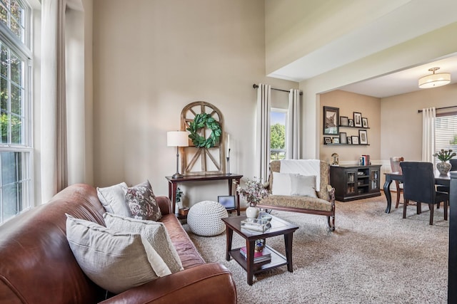 1995 Ridgemore Dr, Bartlett, IL 60103 - view of carpeted living room