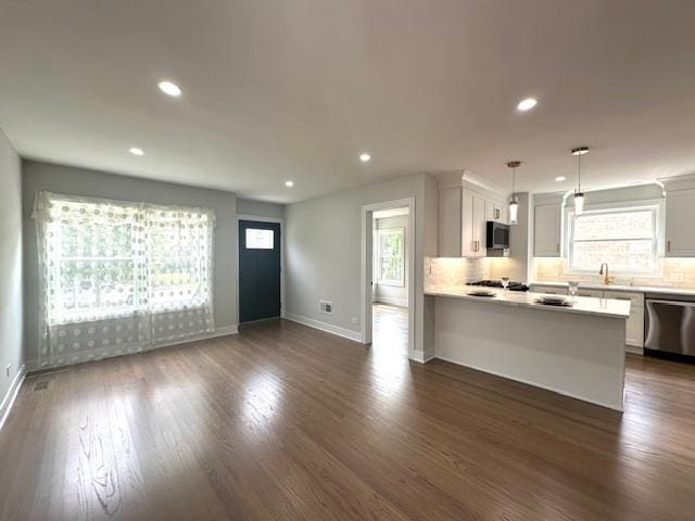 7646 W Myrtle Ave, Chicago, IL 60631 - kitchen with appliances with stainless steel finishes, light countertops, recessed lighting, dark wood finished floors, and a peninsula