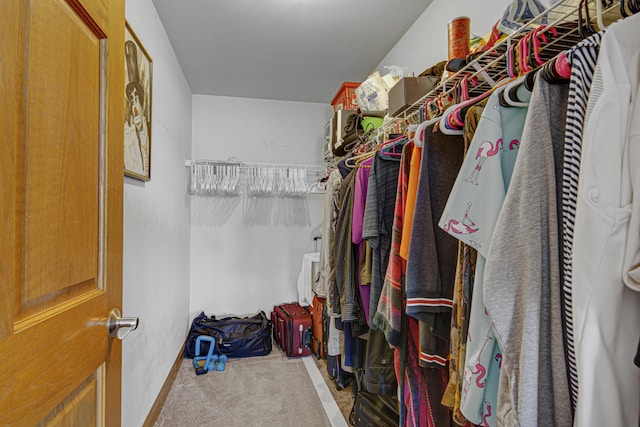 7050 183rd St Unit 409, Tinley Park, IL 60477 - walk in closet featuring carpet