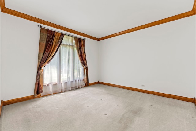 552 Waters Edge Dr, South Elgin, IL 60177 - empty room featuring ornamental molding and carpet floors