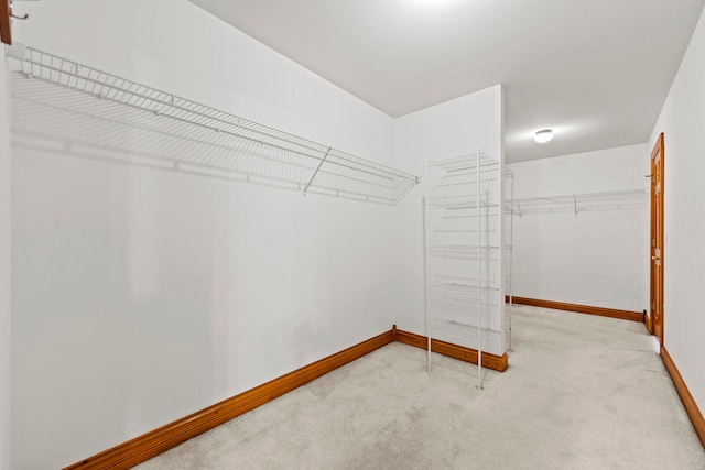 552 Waters Edge Dr, South Elgin, IL 60177 - spacious closet featuring carpet