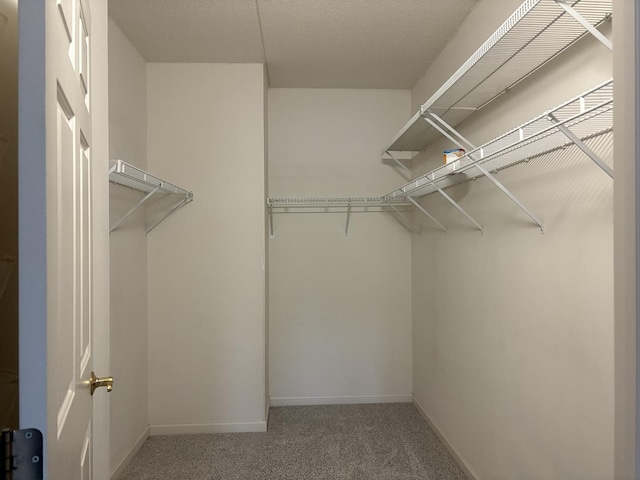 200 N Addison Ave Unit 505, Elmhurst, IL 60126 - spacious closet with carpet floors