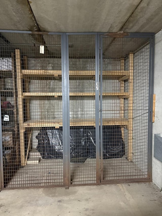 200 N Addison Ave Unit 505, Elmhurst, IL 60126 - view of storage room
