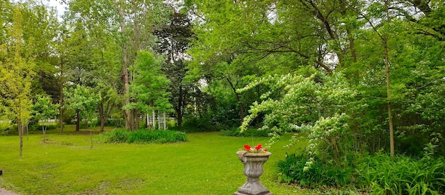 2S720 Nelson Lake Rd, Batavia, IL 60510 - view of grassy yard