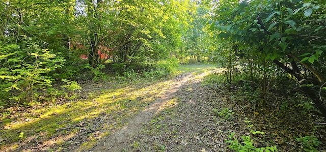 2S720 Nelson Lake Rd, Batavia, IL 60510 - view of road featuring a view of trees