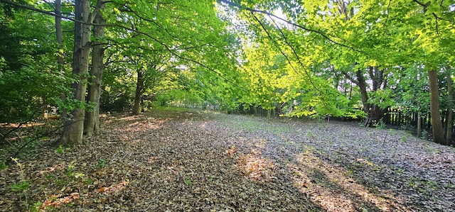 2S720 Nelson Lake Rd, Batavia, IL 60510 - view of yard with a wooded view