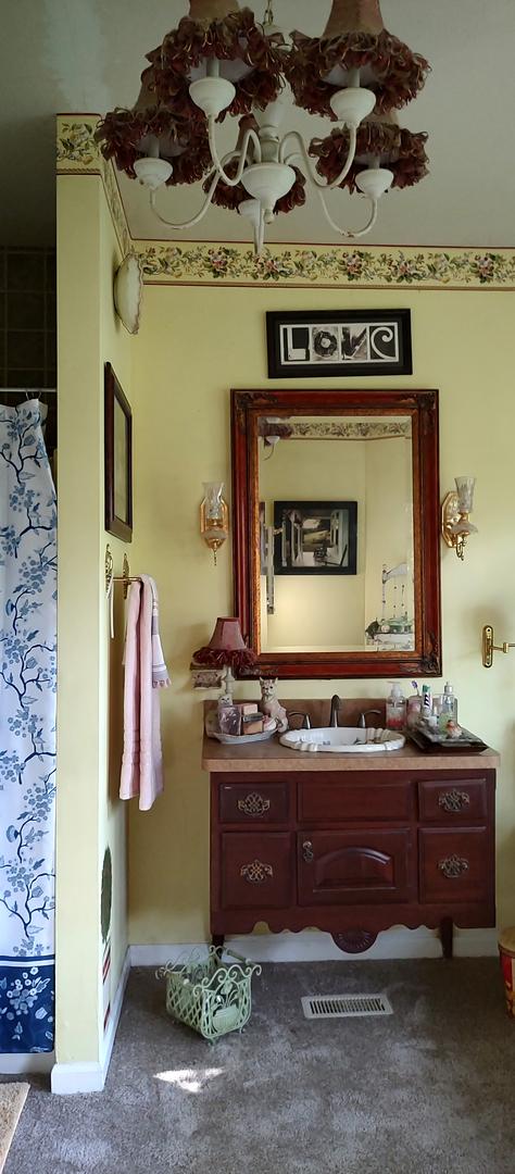 2S720 Nelson Lake Rd, Batavia, IL 60510 - full bath with vanity and a shower with curtain
