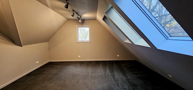 2S720 Nelson Lake Rd, Batavia, IL 60510 - additional living space featuring a skylight, carpet flooring, and lofted ceiling