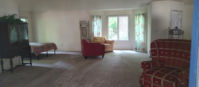 2S720 Nelson Lake Rd, Batavia, IL 60510 - living area with carpet