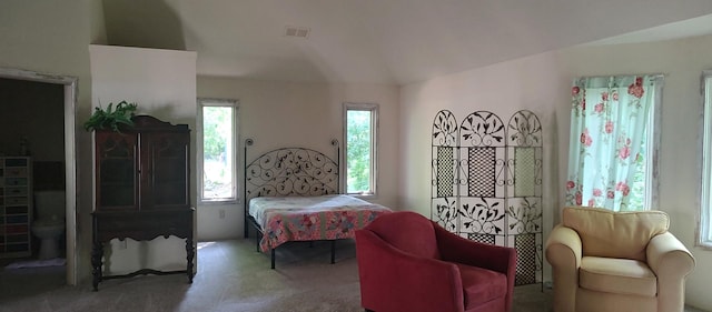 2S720 Nelson Lake Rd, Batavia, IL 60510 - view of carpeted bedroom