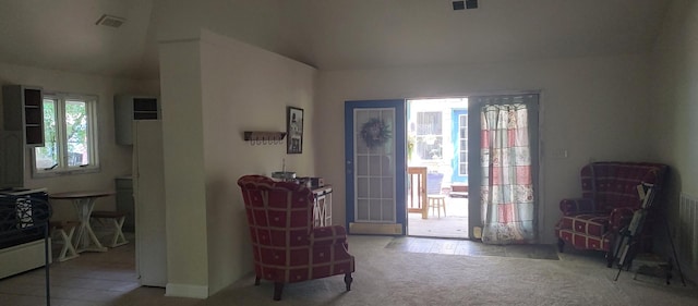 2S720 Nelson Lake Rd, Batavia, IL 60510 - foyer entrance featuring carpet and lofted ceiling