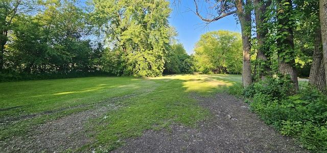2S720 Nelson Lake Rd, Batavia, IL 60510 - view of green lawn