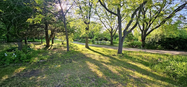 2S720 Nelson Lake Rd, Batavia, IL 60510 - view of grassy yard