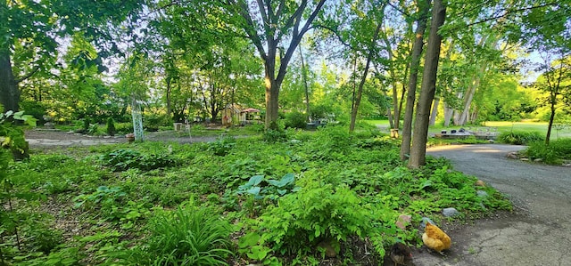 2S720 Nelson Lake Rd, Batavia, IL 60510 - view of wooded area