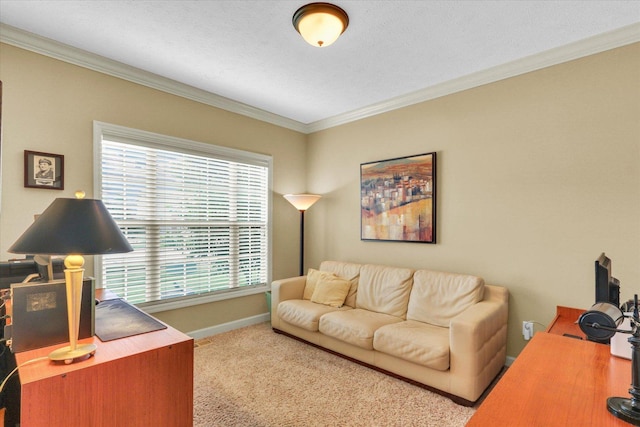 407 Banbury Ln, Savoy, IL 61874 - living area with ornamental molding, carpet, and an office area