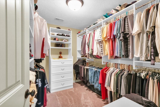 407 Banbury Ln, Savoy, IL 61874 - walk in closet with carpet