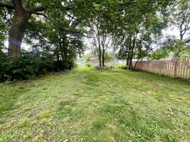 1205 W Beech St, Urbana, IL 61801 - view of yard
