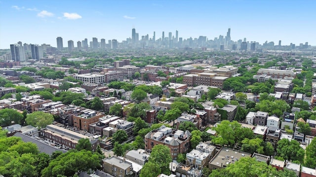 2500 N Seminary Ave Unit 4W, Chicago, IL 60614 - drone / aerial view of skyline