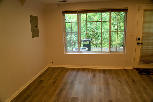 5387 Elizabeth Pl Unit 1302, Rolling Meadows, IL 60008 - spare room with electric panel, plenty of natural light, and dark wood-type flooring