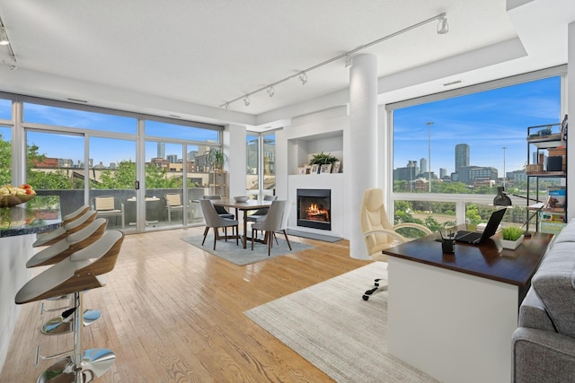 1035 W Huron St Unit 402, Chicago, IL 60642 - sunroom / solarium with a view of skyline, track lighting, and plenty of natural light