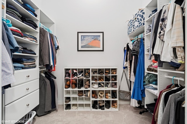 1035 W Huron St Unit 402, Chicago, IL 60642 - spacious closet with carpet flooring