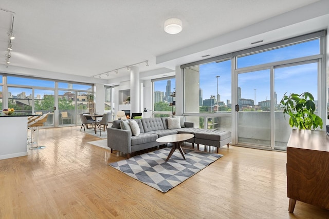 1035 W Huron St Unit 402, Chicago, IL 60642 - living room featuring rail lighting, wood finished floors, a skyline view, and plenty of natural light