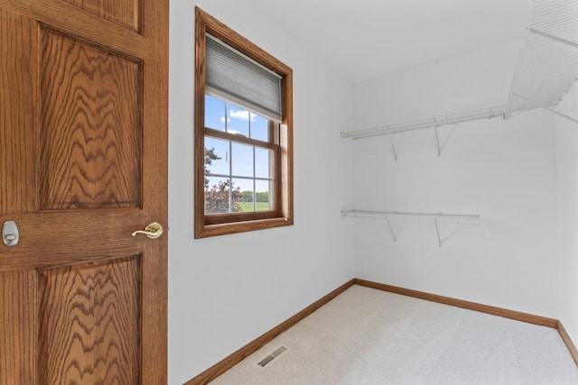 925 Magnolia Dr, Bourbonnais, IL 60914 - walk in closet with light carpet