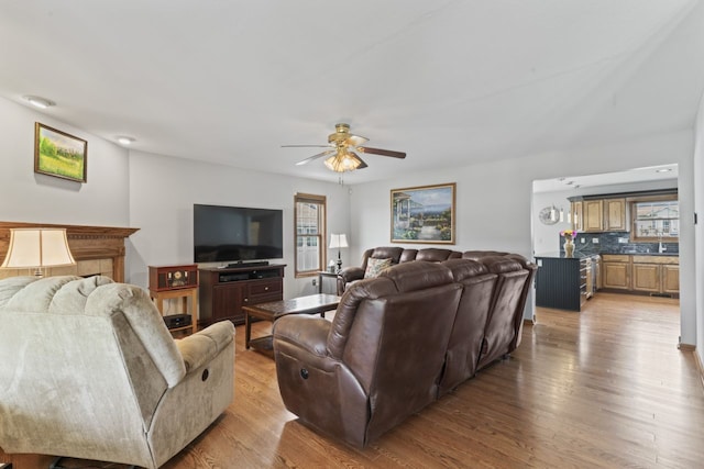 925 Magnolia Dr, Bourbonnais, IL 60914 - living room featuring ceiling fan and wood finished floors