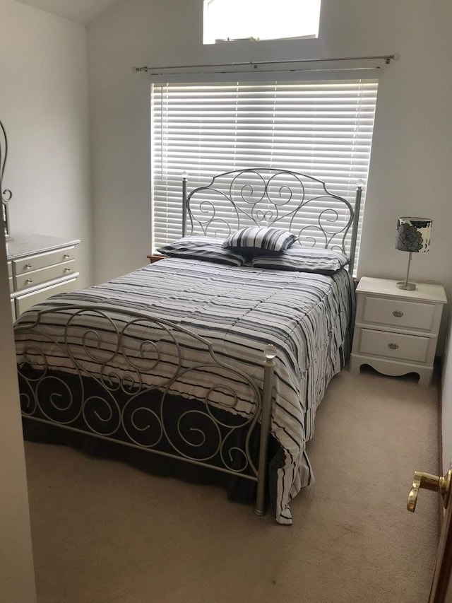 1317 Leonard Dr, Schaumburg, IL 60193 - bedroom with carpet floors