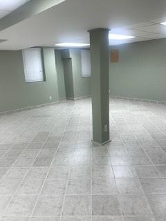 1317 Leonard Dr, Schaumburg, IL 60193 - finished below grade area featuring baseboards
