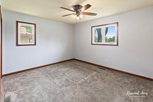 301 N Second St, Ashkum, IL 60911 - spare room with plenty of natural light, carpet flooring, and ceiling fan