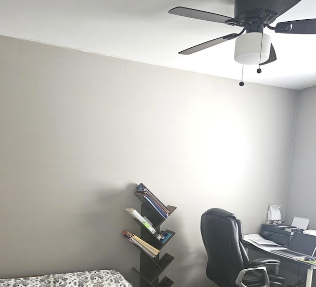 20 Lily Ct, Bolingbrook, IL 60440 - office space featuring a ceiling fan