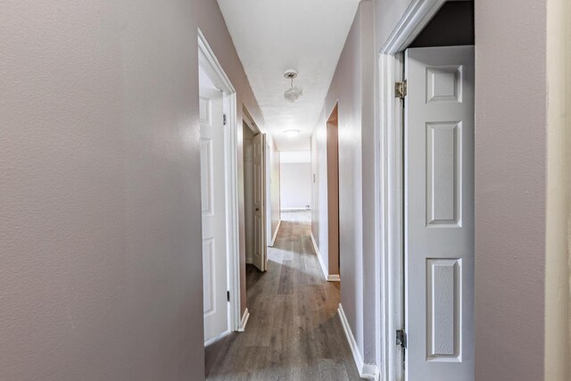 9516 S Kildare Ave Unit 2N, Oak Lawn, IL 60453 - hall with dark wood-style flooring and baseboards