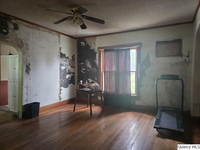 200 S Gillham, West Point, IL 62380 - office featuring arched walkways, wood-type flooring, a ceiling fan, ornamental molding, and a textured ceiling