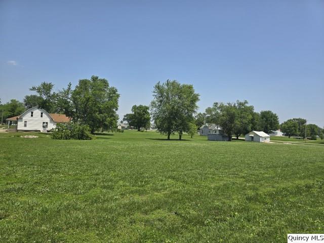 200 S Gillham, West Point, IL 62380 - view of grassy yard