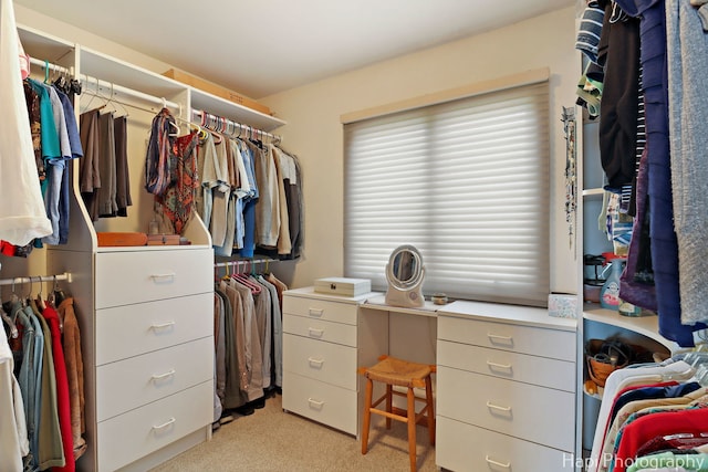 27892 W Bayview Dr, Ingleside, IL 60041 - spacious closet with light carpet