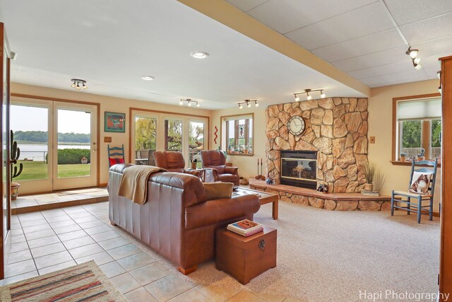 27892 W Bayview Dr, Ingleside, IL 60041 - living area featuring rail lighting, plenty of natural light, and a fireplace