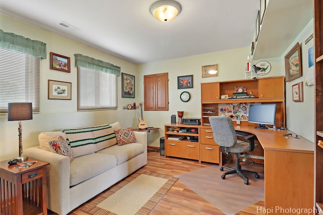27892 W Bayview Dr, Ingleside, IL 60041 - office area with healthy amount of natural light and light wood finished floors